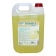 Ewol 5 L Professional Formula S Citruss