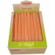 Provence 1 gb