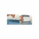 Vialli K1 Narow long folded towel dispenser