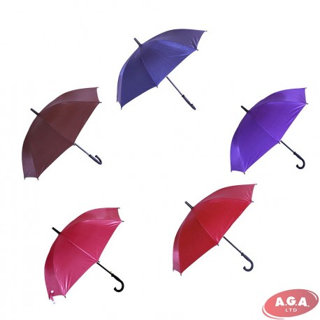 Umbrella