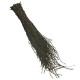 Reed broom