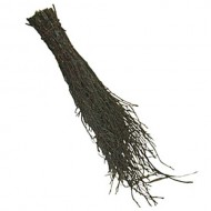 Reed broom
