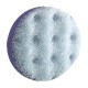 Clarina Venus