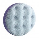 Clarina Venus