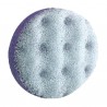 Clarina Venus